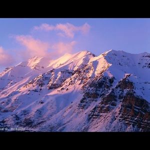 Meet your Posher, Ann